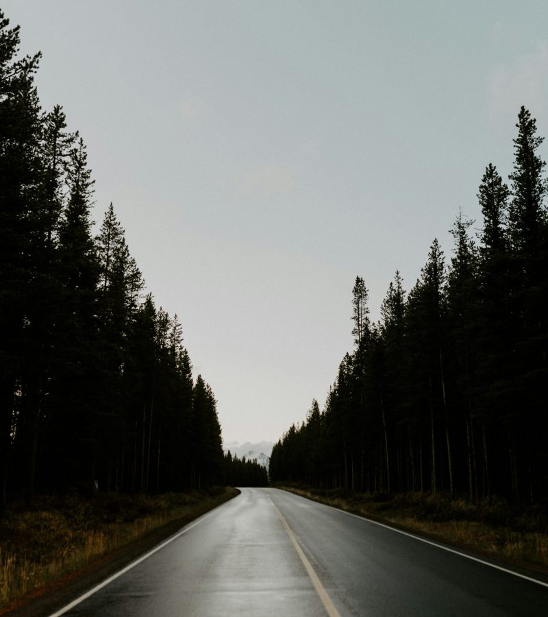 becca-schultz-PviAwMTFpHI-unsplash